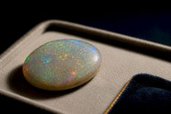 Science Backed Opal Crazing Care for Owners