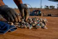 3 Provenance Musts for Collectors Buying Miner Direct Opals