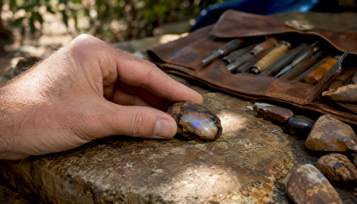 Yowah Nut Opals: Collector's Guide to Buying Authentic Gems
