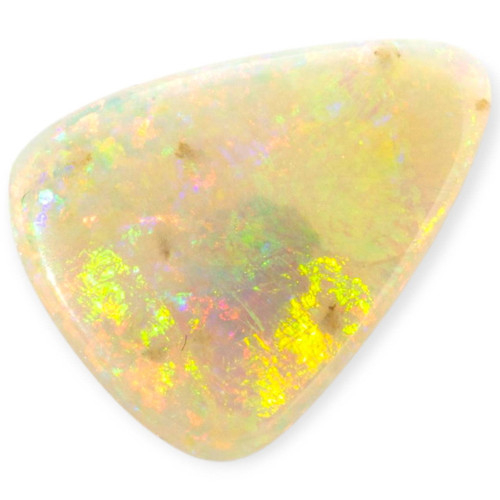 Radiant Spark Opalized Shell (30 million Years old shell)