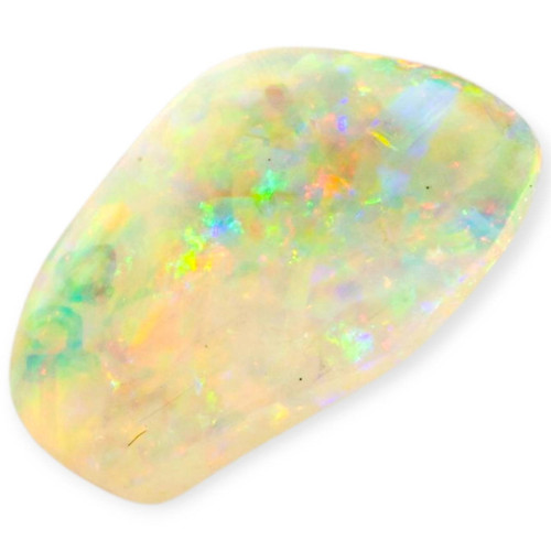 Rainbow Spark Opalized Shell (30 million Years old shell)