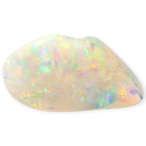 Celestial Glow Opalized Shell (30 million Years old shell)