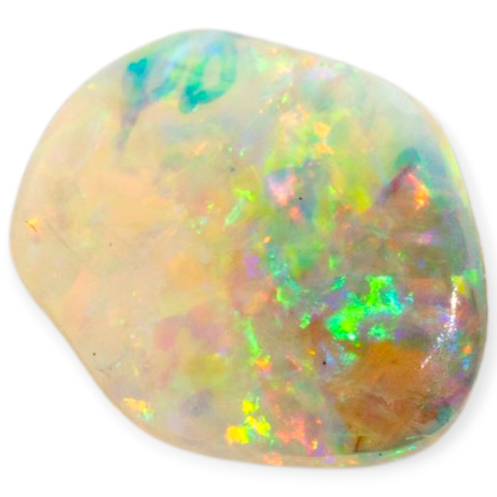 Rainbow Spark Opalized Shell (30 million Years old shell)