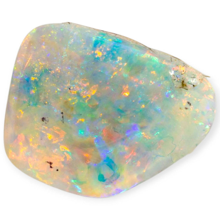 Twilight Flame Opalized Shell (30 million Years old shell)