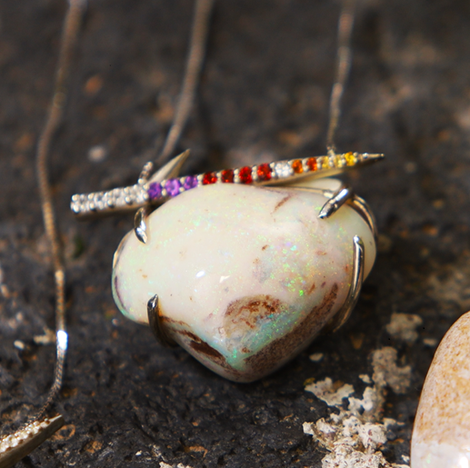 Opalized Fossils