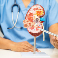 Bard Catheters & Urology Supplies Canada | Foley, Hydrophilic & Drainage Systems