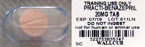 Practi-Benazepril simulates an ACE inhibitor and is available as a Practi-Unit Dose Med individually or in our Practi-Oral Med Pack.