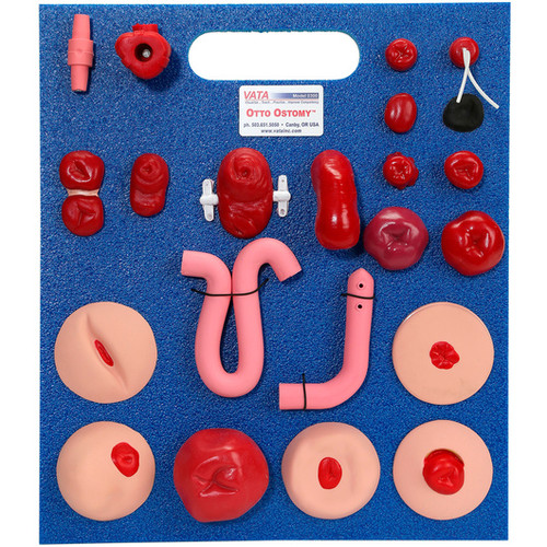 Explore the Advanced Stoma Package SB48422, designed for realistic stoma care training. Perfect for medical education, it includes high-quality tools for hands-on practice in stoma management and patient care.