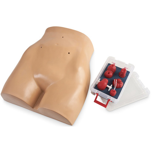 Explore the Stoma Care Torso - Light SB52885, a high-quality training model designed to enhance stoma care education and practice. Ideal for healthcare training programs.