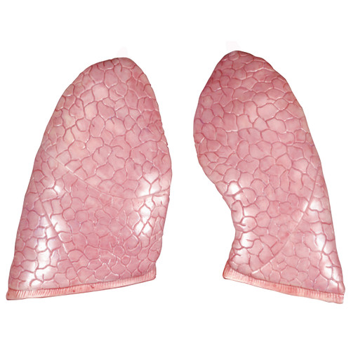 Spare lungs, 2 items for B08, B09, B09/1, B12, B13, B19, B30, B32, B32/1, B32/4, B35, B36, B37, B40, B41, B42