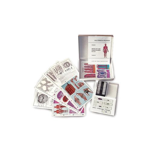 Comprising: 6 Microscope Slides in Plastic Box, 3 OHP
Color Transparencies, 6 Sketch- and Worksheets, Brochure
with explanatory text, Special cardboard box.