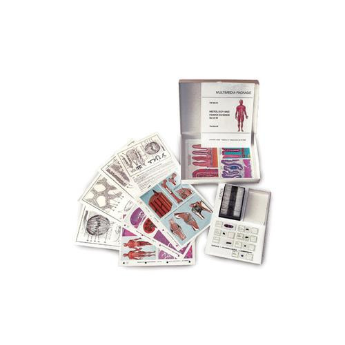 Comprising: 12 Microscope Slides in Plastic Box, Brochure with explanatory text, Cardboard box