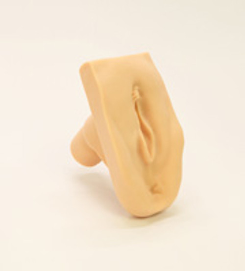 "Cathi" by Remedy is a simulated female catheterization trainer. "Cathi" is specifically designed to fit the reconfigured Remedy Cath Stand and will fit most Laerdal Manikins. "Cathi" by Remedy is a simulated female catheterization trainer. "Cathi" is specifically designed to fit the reconfigured Remedy Cath Stand and will fit most Laerdal Manikins.