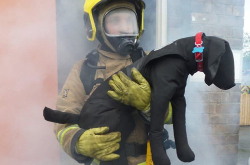 Dog Manikin