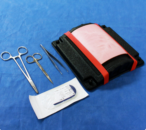 Nasco Healthcare Skin Suturing Kit - LifeLike Double Layer Skin - Thin Dermis 1212