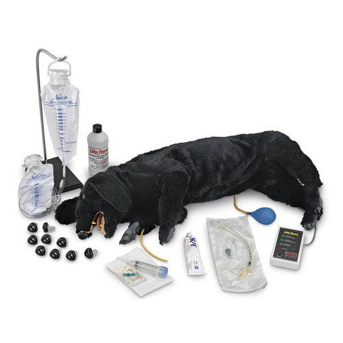 Nasco Healthcare Life/form® Advanced Sanitary CPR Dog