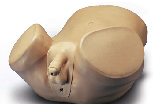 Nasco Healthcare Healthcare Advanced Patient Care Male Prostate S230.3.PK.L
