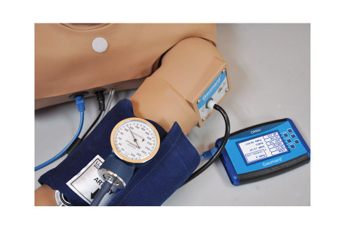 The S222.989 OMNI® Blood Pressure Arm Accessory is a blood pressure training arm that can connect to your Gaumard manikin so participants can practice taking a patient's blood pressure. Participants can adjust the systolic and diastolic pressures, auscultation gap, and pulse rate while the OMNI® display tracks cuff pressure.