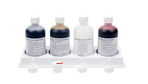 Gram stain kit 212539