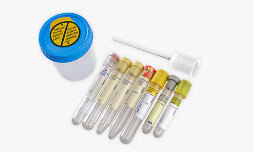 BD Vacutainer® Bulk tube: Plus plastic conical tube for urinalysis 364980