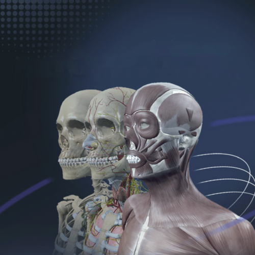Sym Anatomy is a revolutionary virtual anatomy software designed to elevate anatomical education and training. Developed using real human anatomy data—including specimen, digital human, and CT/MRI tomography—Sym Anatomy offers unparalleled realism, interactivity, and educational value.