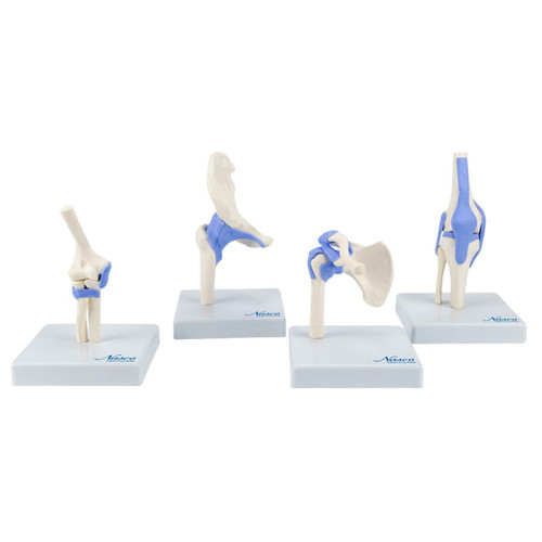 Mini Functional Joint Models, Set of 4 MG22074U