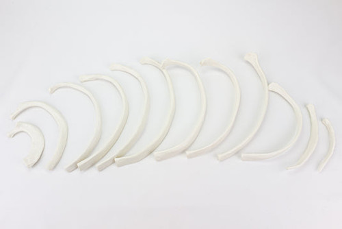 Disarticulated Ribs, Set of 12 MG7368U