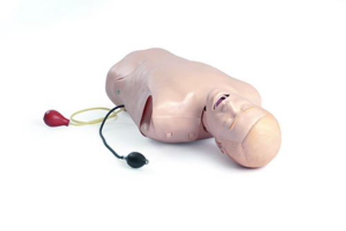 Deluxe Difficult Airway Trainer, Medical and cpr training, deluxe airway trainer, medical training, medical supplies