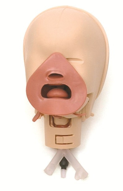 Head/Airway Without Faceskin, ALS Baby, medical supplies canada, first aid and ems training supplies, training supplies