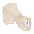 Human Leg and Feet Bones - 3B Smart Anatomy, anatomical models, medical supplies, medical supplies canada,
