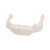 This is a realistic replica of the human hyoid bone. The hyoid bone comes mounted on a non-removable stand for easy display. Use the hyoid bone for detailed anatomy study.