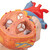 This 2-times life-size heart model allows a very easy identification of all structures in the human heart and is a perfect aid for lessons in big classrooms or lecture halls. The atrium walls and the front heart wall are removable to reveal the most professionally detailed and realistic heart available. Hand-painted in lifelike colors to depict dozens of items of anatomical interest in the human heart. Additionally this heart model depicts the upper section of the esophagus, the upper bronchi and the ascending aorta and the front heart wall and the atrium walls can be removed. Heart delivered on removable stand.