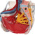 This life size six part model of a female pelvis represents detailed information about the topography of bones, ligaments, vessels, nerves, pelvic floor muscles and female genital organs. It presents the whole pelvic floor with partially removable midsagitally sectioned external anal sphincter, external urethral sphincter, deep and superficial transverse perineal and bulbospongiosus.