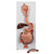 Same features as the K21 but without the removable stomach half.The duodenum, caecum and rectum of the digestive system are opened. The transverse colon is removable. The digestive system mounted on baseboard.