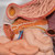 Life-size human digestive system model that demonstrates the entire digestive system in graphic relief.