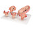 This series shows the most important stages of development of embryo or foetus. All models are mounted together on a base. 1st Month Embryo, 2nd Month Embryo, 3rd Month Embryo, 5th Month Foetus (breech position) 7th Month Foetus