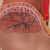 This anatomy model is a representation of a median section through the female pelvis at 40 weeks pregnant with a removable fetus. Study the normal position of child before birth with this model plus the human reproductive and urinary systems. A uterus with embryo in 3rd month of pregnancy is mounted on base for added detail.
