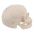 Spare skull with holes for A10, A12, A15, A15/2, A15/3 and A15/3S, medical supplies online Canada
