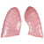 Spare lung, 2 parts for B20 and B22, medical supplies online Canada, Medical equipment and training anatomical models