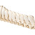 Real horse spine with cervical, thoracic, lumbar, and sacrum. Flexibly mounted. Medical supplies online Canada, Medical equipment and anatomical models.