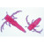 Crustacea - Slides