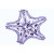 1(d). Asterias, starfish, t.s. of ray 2(e). Young starfish, horizontal sec. 3(f). Asterias, starfish, bipinnaria larva, w.m. 4(d). Echinus, young sea urchin, radial section 5(e). Development of sea urchin, eggs in different stages 6(d). Echinus, sea urchin, pluteus larva 7(e). Holothuria, sea cucumber, t.s. 8(c). Holothuria, w.m. of limy bodies 9(d). Bryozoa, moss animals, colony, sec. 10(f). Lingula, brachiopod, t.s.