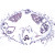 1(d). Asterias, starfish, t.s. of ray 2(e). Young starfish, horizontal sec. 3(f). Asterias, starfish, bipinnaria larva, w.m. 4(d). Echinus, young sea urchin, radial section 5(e). Development of sea urchin, eggs in different stages 6(d). Echinus, sea urchin, pluteus larva 7(e). Holothuria, sea cucumber, t.s. 8(c). Holothuria, w.m. of limy bodies 9(d). Bryozoa, moss animals, colony, sec. 10(f). Lingula, brachiopod, t.s.