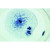 6 selected Microscope Slides. With depictured accompanying brochure 1(d). Mitosis, l.s. from Allium root tips showing plant mitosis stained with iron-hematoxyline 2(f). Mitotic stages in sec. of red bone marrow 3(e). Meiotic and mitotic stages in sec. of Salamandra testis 4(f). Lilium, anther t.s., microspore mother cells showing telophase of first and prophase of second division 5(f). Giant chromosomes, smear from salivary gland of Chironomus 6(f). Ascaris megalocephala embryology. Sec. of uteri showing maturation stages.