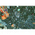 Selected rocks and minerals are ground and polished to a thickness of 20 – 30 μm. The preparations are mounted with Canada balsam on slides of 45x30 mm. In order to identify forms, colours, refractions and fossil inclusions, the slides can be observed with any normal microscope in transmitting light. Additional information is obtained by using microscopes with polarized-light equipment.