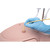 The P93 PRO catheterization trainer set can be used to realistically demonstrate, practice and evaluate female and male bladder catheterizations either via the urethra (transurethral) or the abdominal wall (suprapubic).
