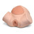 The Episiotomy Suture Training Module P96 will enhance your Birthing Simulator P90 PRO or BASIC
with realistic postpartum episiotomy suturing and repair skills trainer inserts. The soft skin will support real sutures and will enable the trainee to gain experience in instrument handling as well as suture techniques and tying knots.