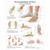 Foot and Joints of Foot Chart - Anatomy and Pathology