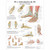 Foot and Joints of Foot Chart - portuguese