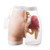 Two-in-One Intramuscular Injection Model of Buttocks Type 2 1022267